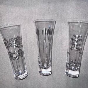 Roost Glass 3 Designs Silver Champagne Flutes